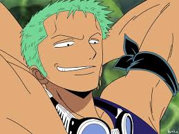 One Piece Zoro